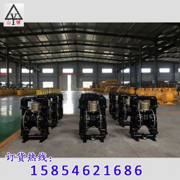 點擊查看詳細信息<br>標題：隔膜泵_氣動隔膜泵_隔膜泵價格_隔膜泵 閱讀次數(shù)：1786