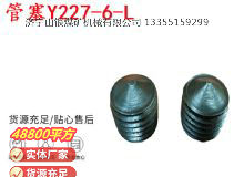 點擊查看詳細信息<br>標題：英格索蘭隔膜泵配件管塞Y227-6-L 閱讀次數(shù)：253