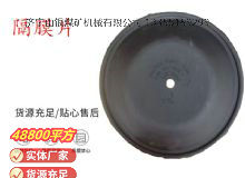 點擊查看詳細信息<br>標題：氣動隔膜泵配件-隔膜片 閱讀次數(shù)：231